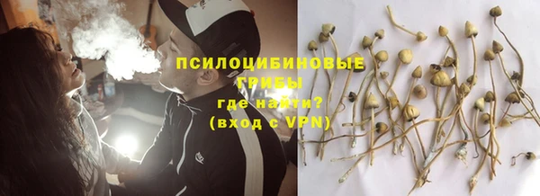 дурь Абинск